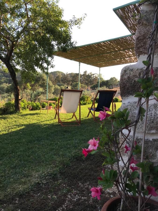 Is Conchisceddas Alloggio per agriturismo Gonnosfanàdiga