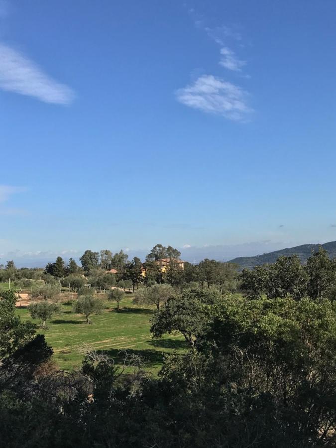 Is Conchisceddas Alloggio per agriturismo *