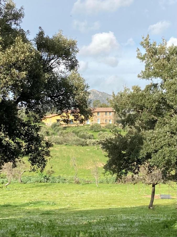 Is Conchisceddas Alloggio per agriturismo Gonnosfanàdiga