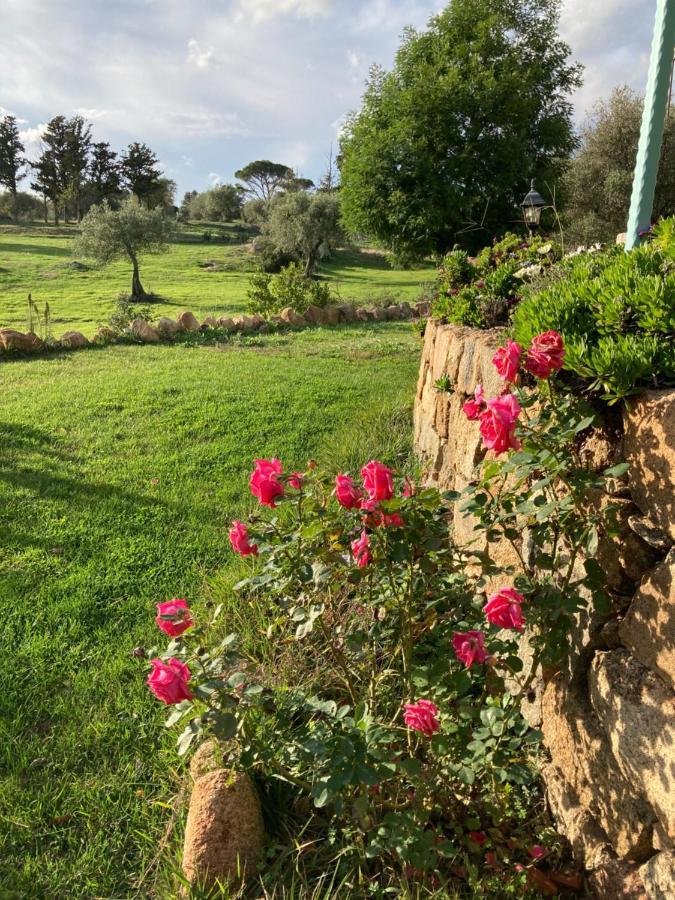 Alloggio per agriturismo Is Conchisceddas Gonnosfanàdiga
