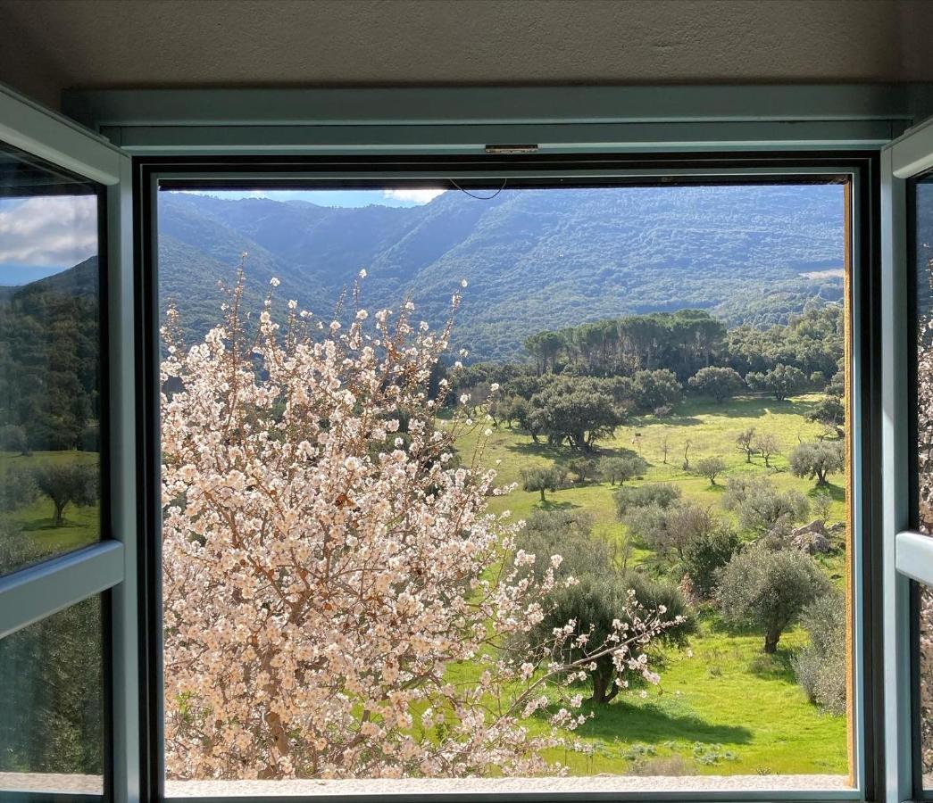 Alloggio per agriturismo Is Conchisceddas Gonnosfanàdiga
