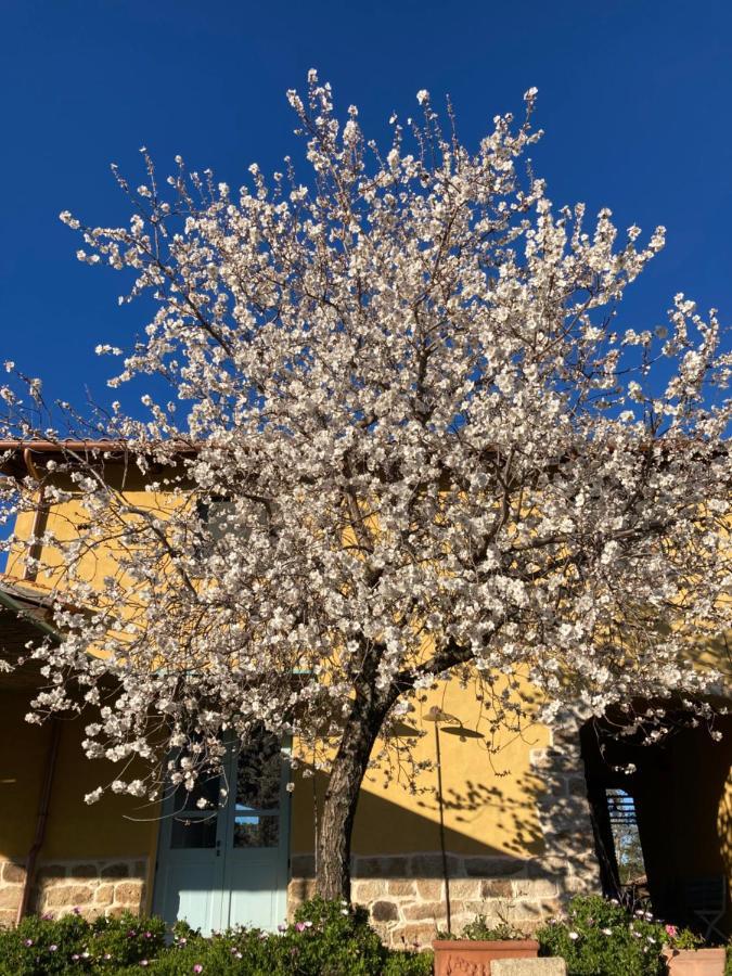 Alloggio per agriturismo Is Conchisceddas *