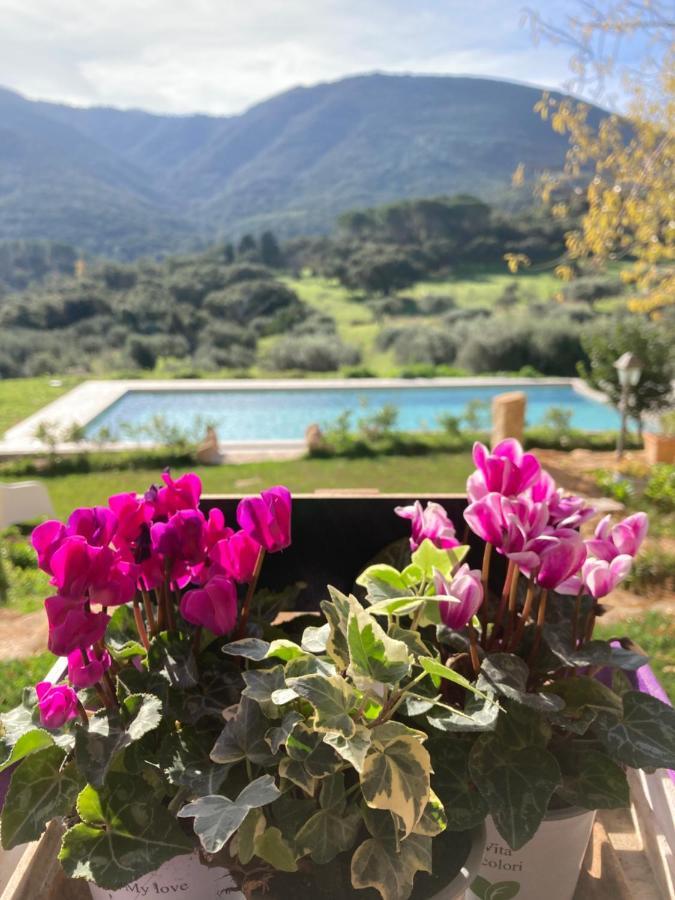 Is Conchisceddas Alloggio per agriturismo *