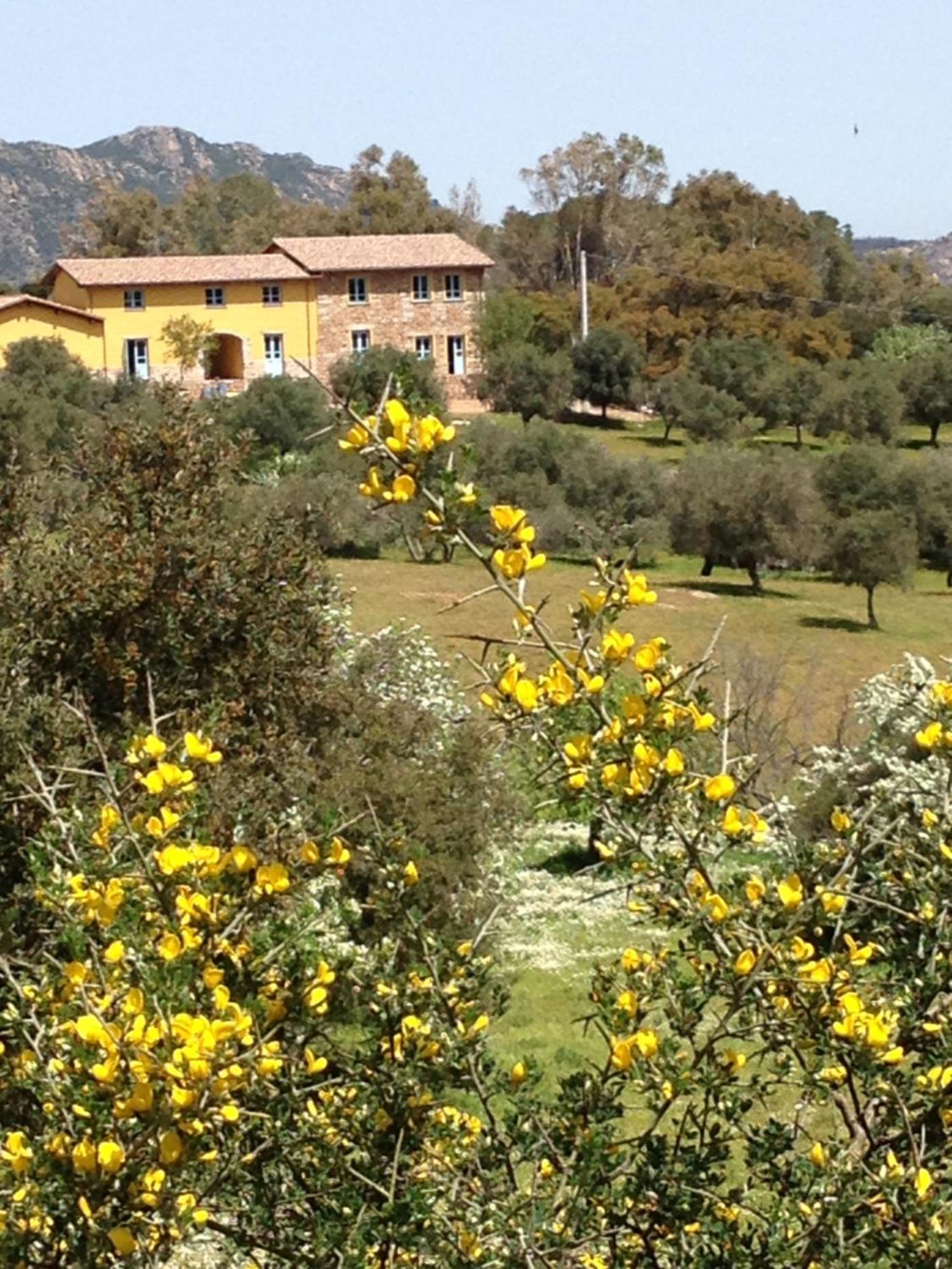 Alloggio per agriturismo Is Conchisceddas *