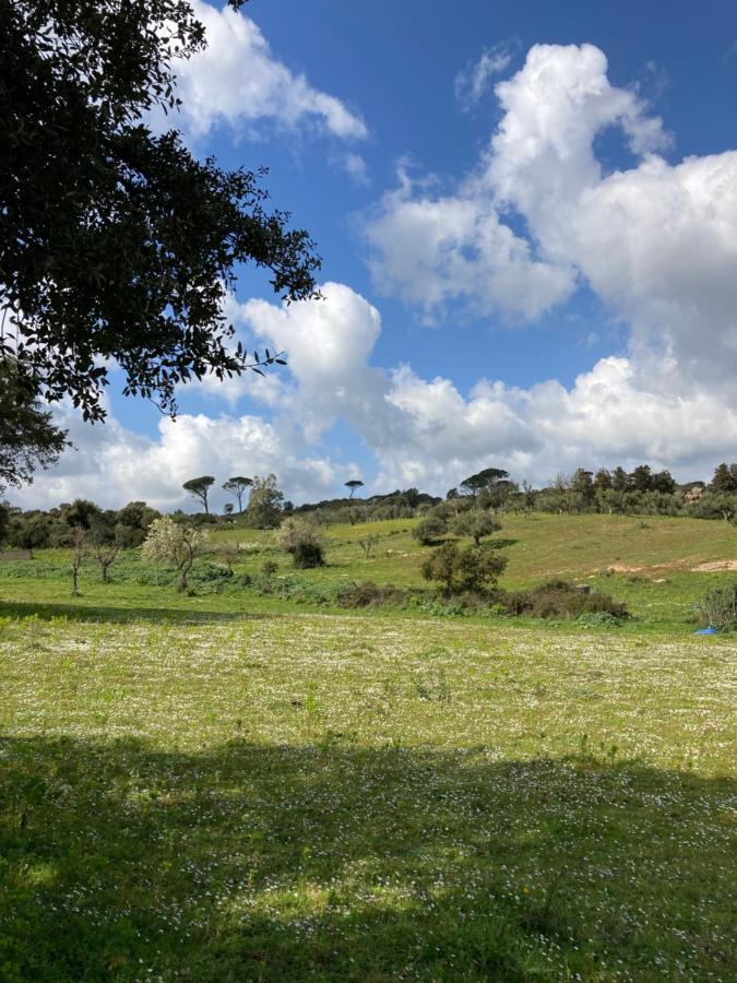 Is Conchisceddas Séjour à la ferme Gonnosfanàdiga
