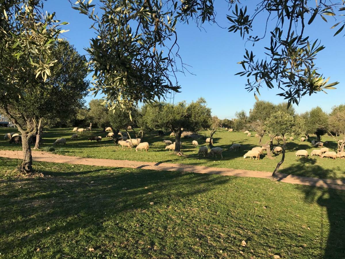 Séjour à la ferme Is Conchisceddas Gonnosfanàdiga